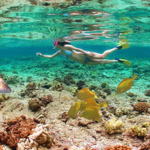 Tour Package 09 nights 10 days including:  Cairo, Nile Cruise and Hurghada